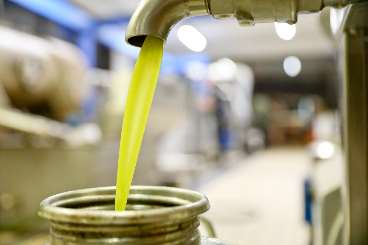 Fresh green olive oil flowing from a stainless-steel spout into a container.