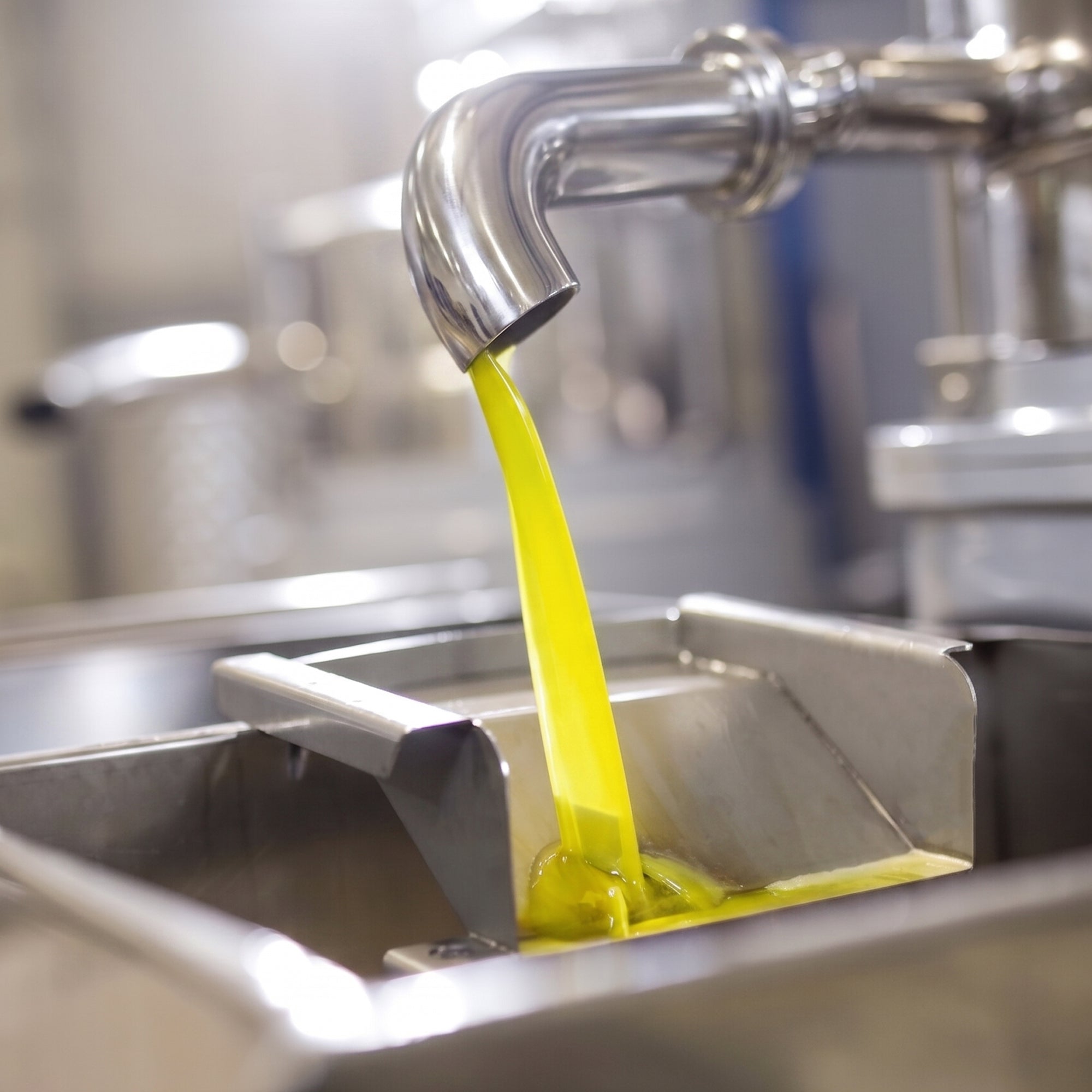 Freshly produced olive oil flowing from stainless steel equipment at the Accademia Olearia mill.