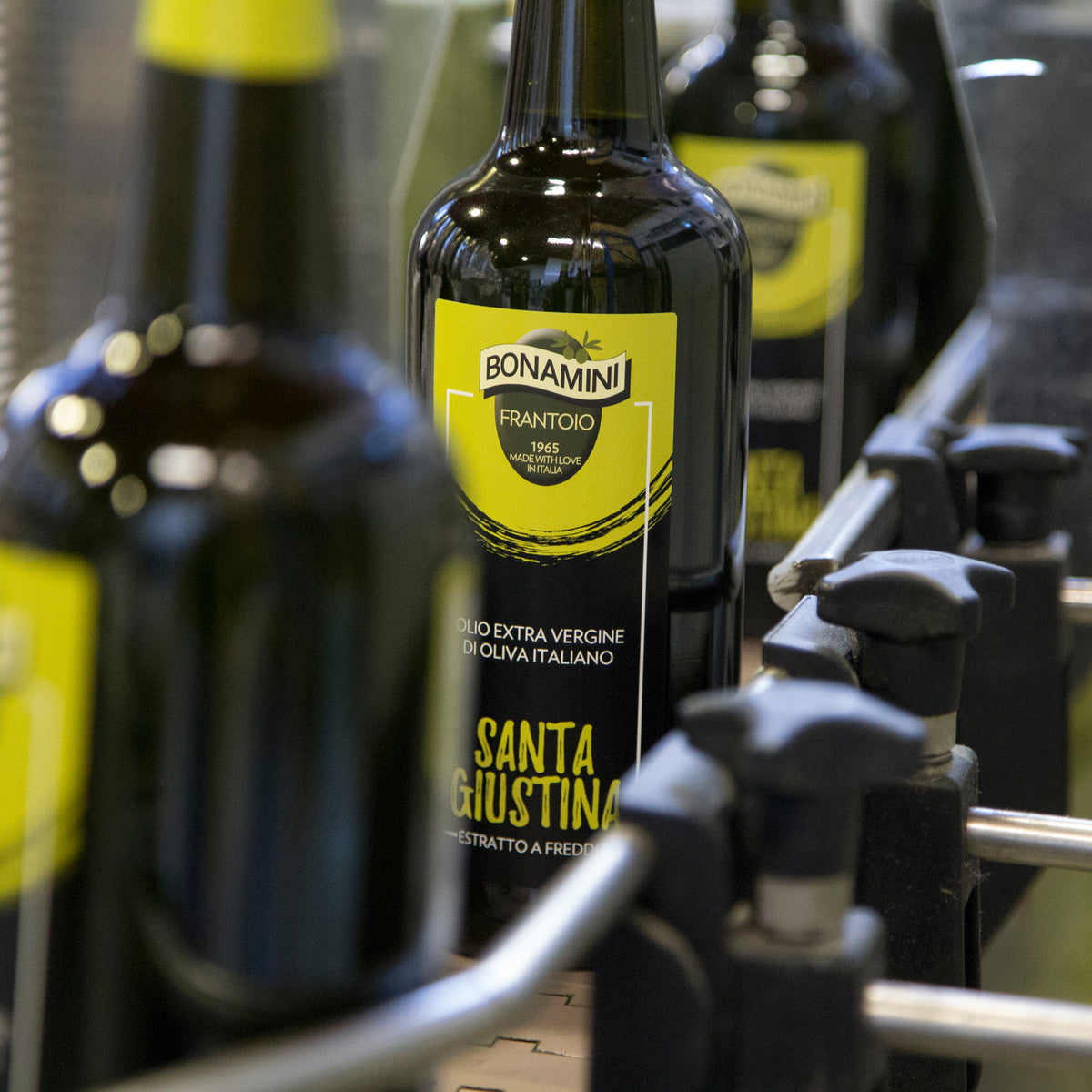 Frantoio Bonamini Santa Giustina extra virgin olive oil bottles during production.