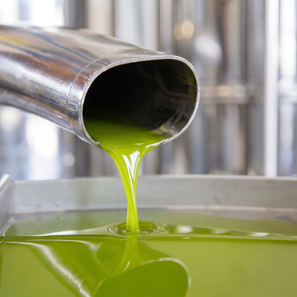 Freshly extracted olive oil flows from stainless steel equipment into a collection basin.