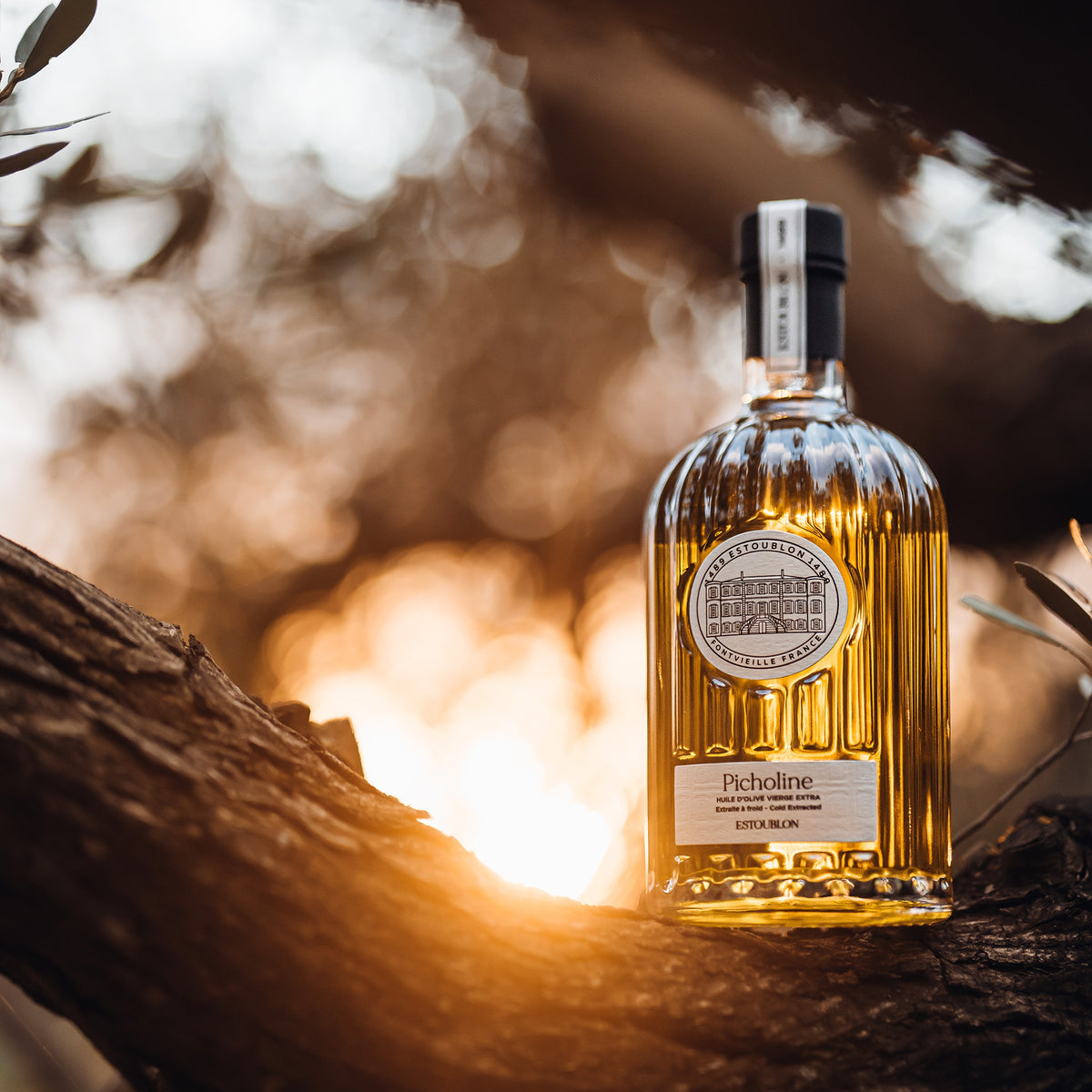 Sunlight illuminates a 500 ml Estoublon Picholine olive oil bottle among olive tree branches.