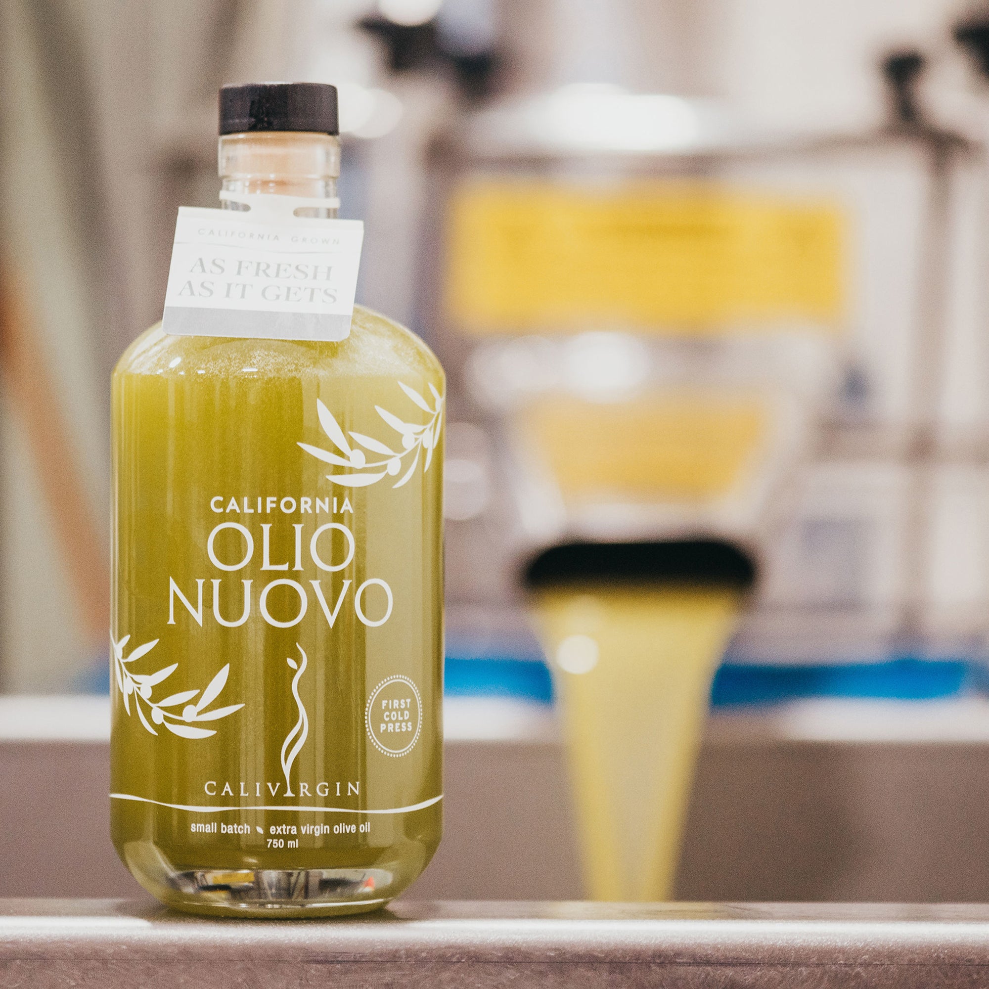 Calivirgin Olio Nuovo 750ml bottle filled with freshly extracted olive oil at the mill.