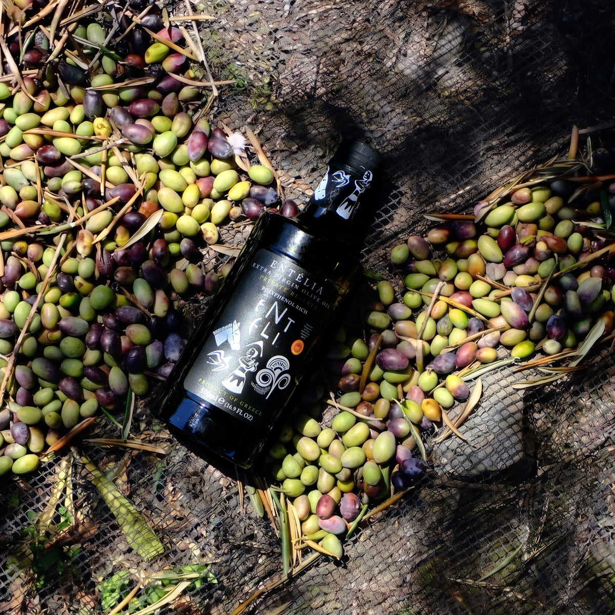 Entelia Private Reserve olive oil bottle among freshly harvested olives.