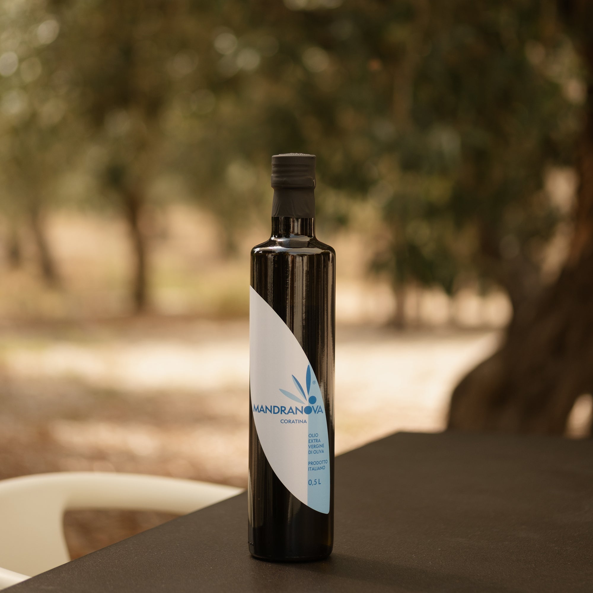 Mandranova Coratina 500 ml olive oil bottle among trees in a Sicilian grove.