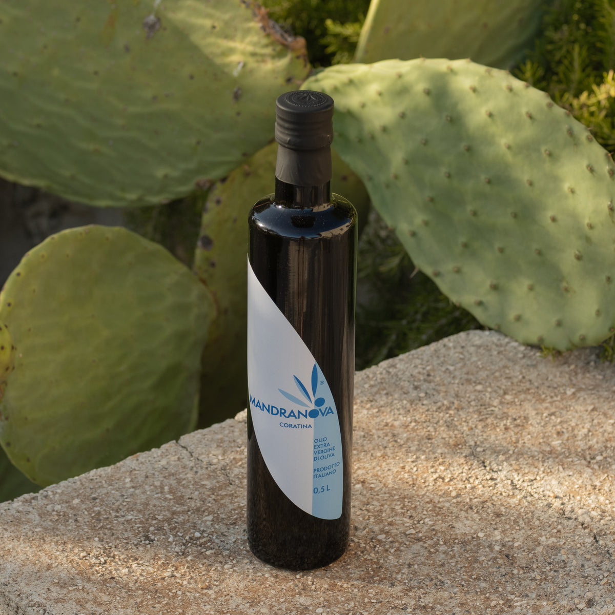 Mandranova Coratina 500 ml olive oil bottle beside large green prickly pear cactus pads.