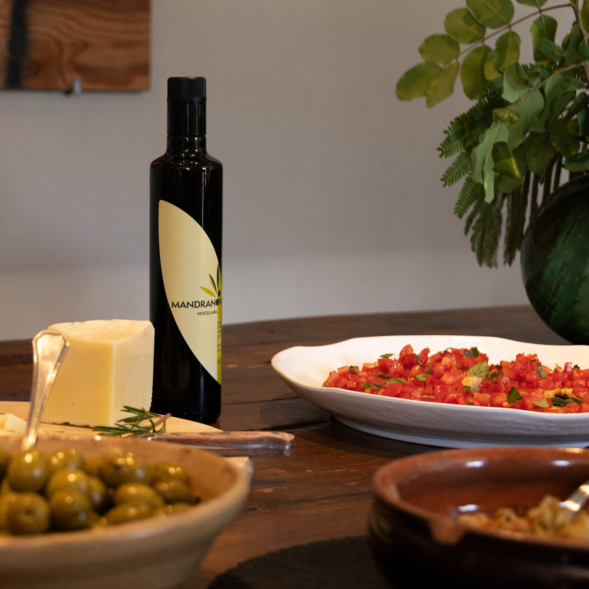 Mandranova Nocellara bottle beside cheese, green olives, and a tomato dish.