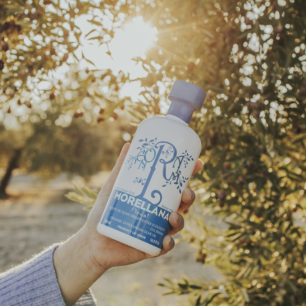 Holding a 500ml Morellana Organic Picual DOP Baena bottle in a sunlit Spanish olive grove.
