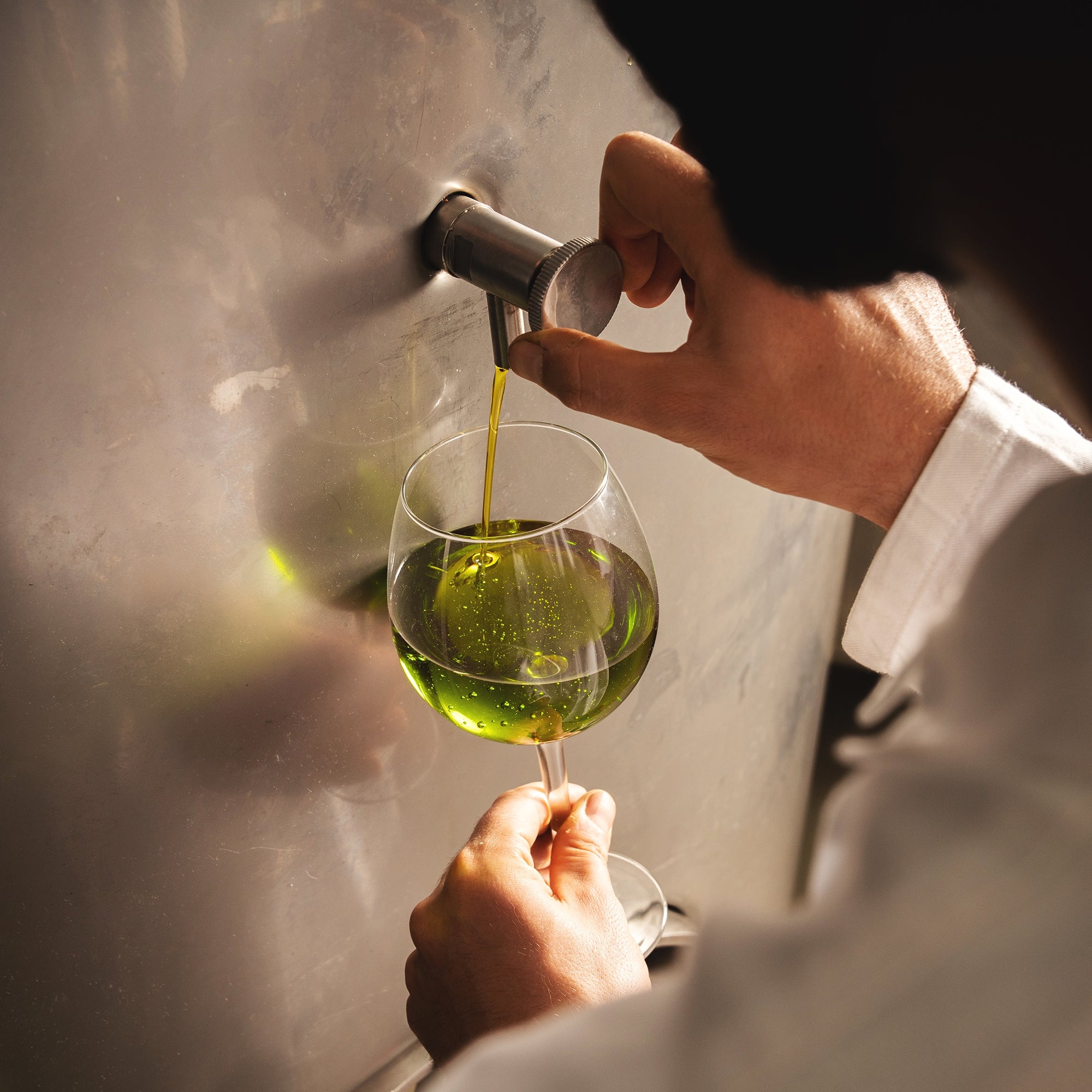 Filling a tasting glass with fresh green olive oil directly from a stainless-steel tank.