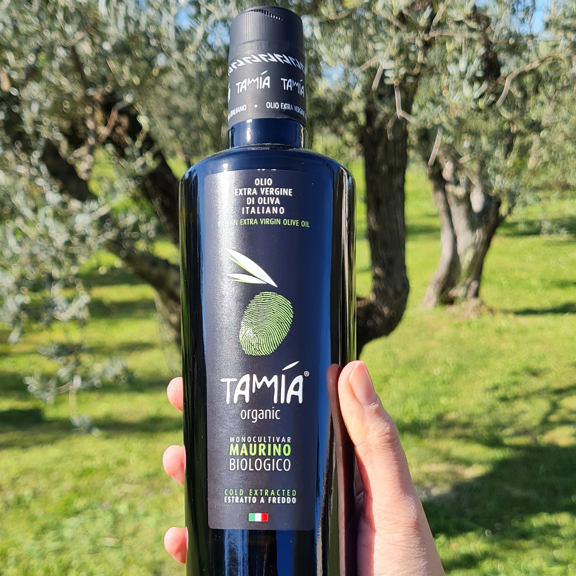 Holding a 500 ml Tamia Maurino Organic extra virgin olive oil bottle among olive trees.