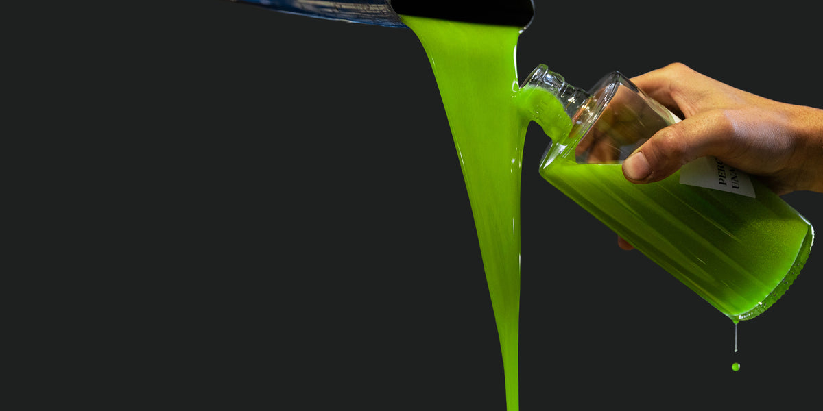 Fresh Novello olive oil, at the mill