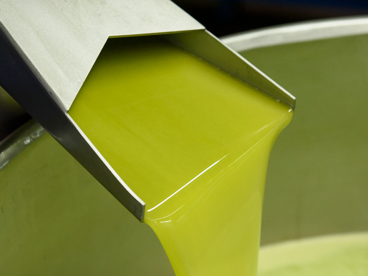Fresh novello olive oil at the mill