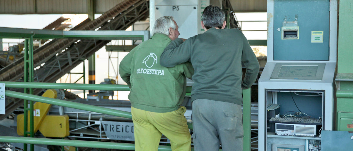 Oleoestepa mill workers monitoring olive processing inside a production facility.