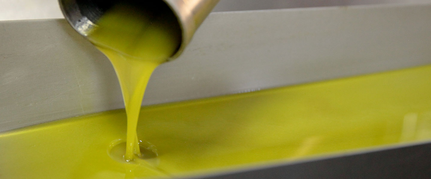 Fresh extra virgin olive oil extraction.
