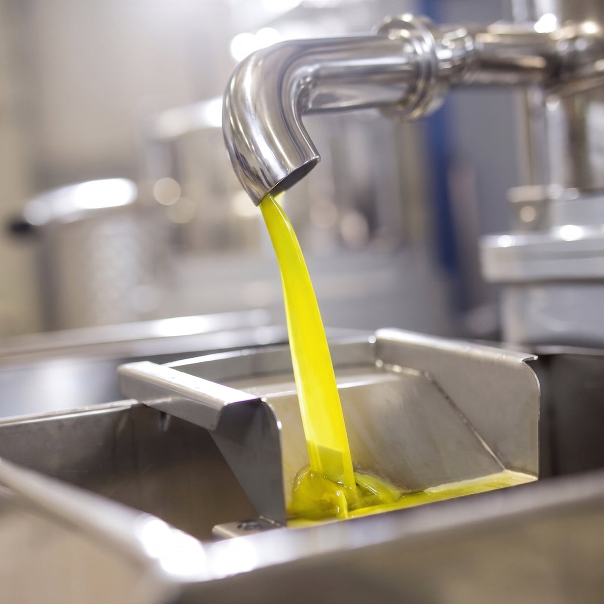 Freshly produced olive oil flowing from stainless steel equipment at the Accademia Olearia mill.