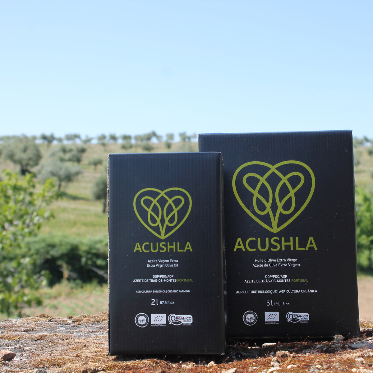 Two Bag-in-Boxes of Acushla Organic DOP Trás-os-Montes extra virgin olive oil.