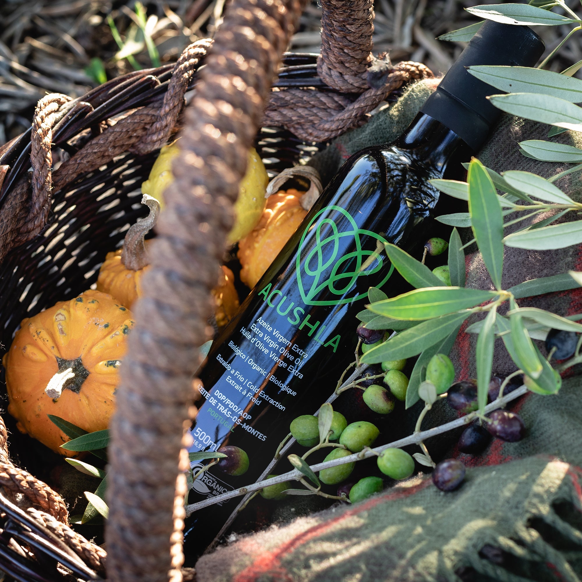 Acushla Organic DOP Trás-os-Montes 500 ml bottle in a harvest basket with olives and small pumpkins.