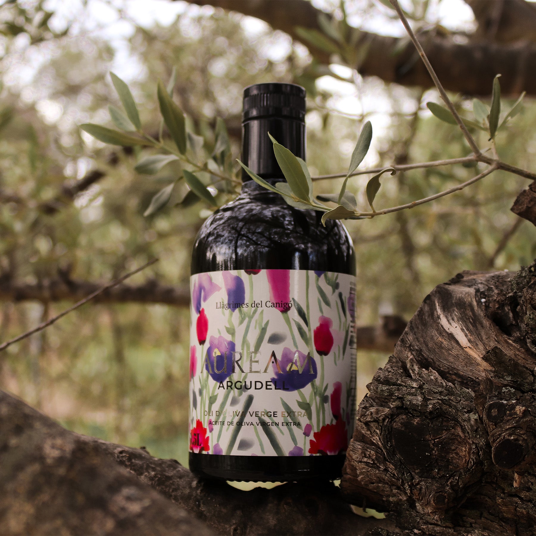 Llàgrimes del Canigó Auream Argudell 500 ml bottle nestled among olive tree branches in a grove.