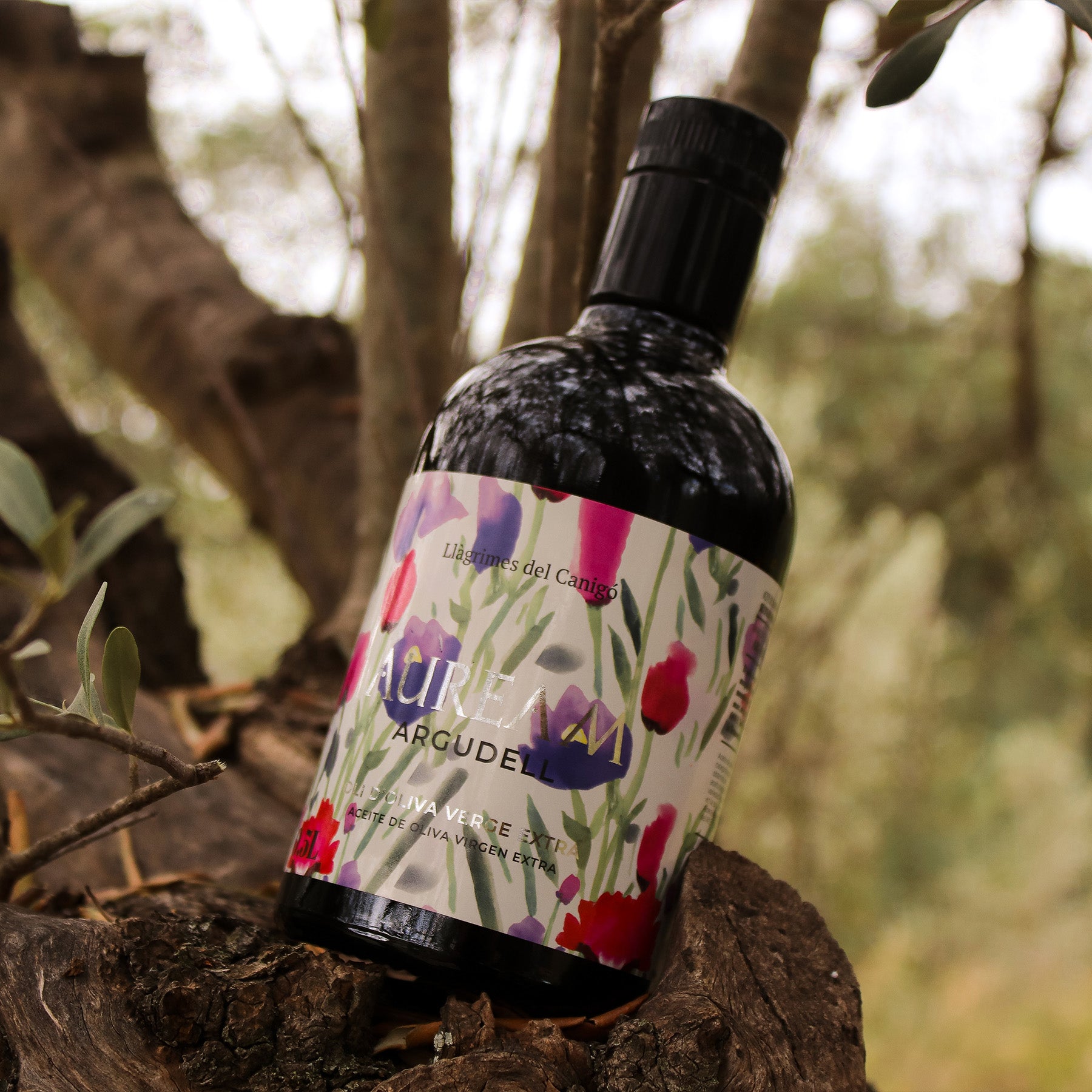 Auream Argudell 500 ml extra virgin olive oil bottle on an olive tree.
