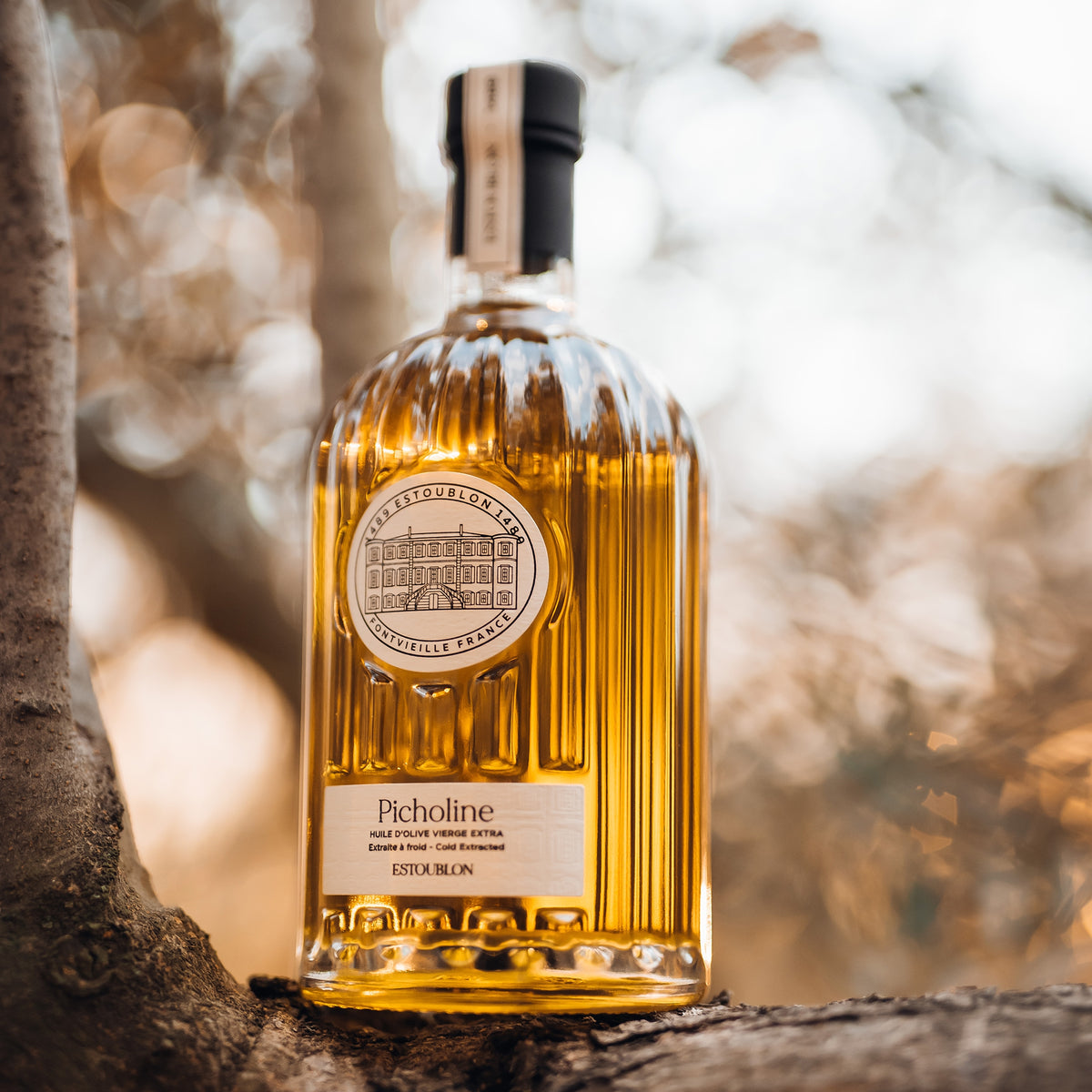 Estoublon Picholine 500 ml olive oil bottle nestled between tree trunks in warm sunlight.