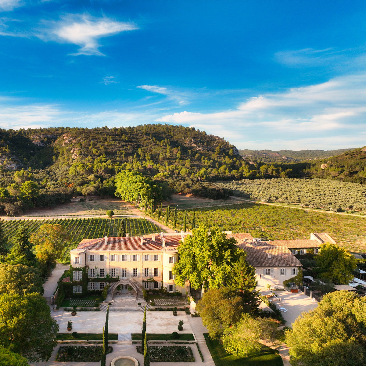 View of Estoublon estate surrounded by olive groves, vineyards, and trees.