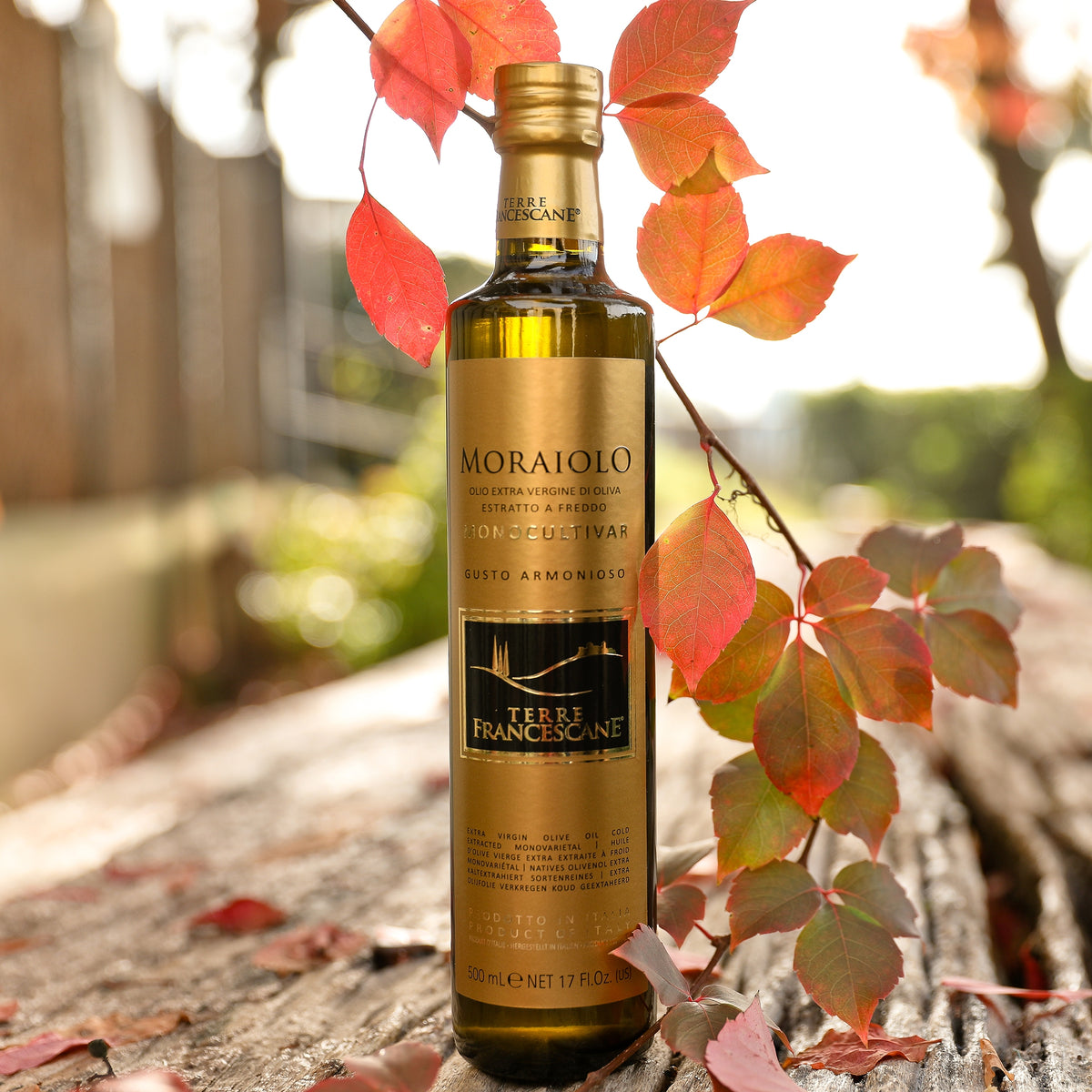 500 ml Terre Francescane Moraiolo olive oil bottle from Umbria among red autumn leaves.