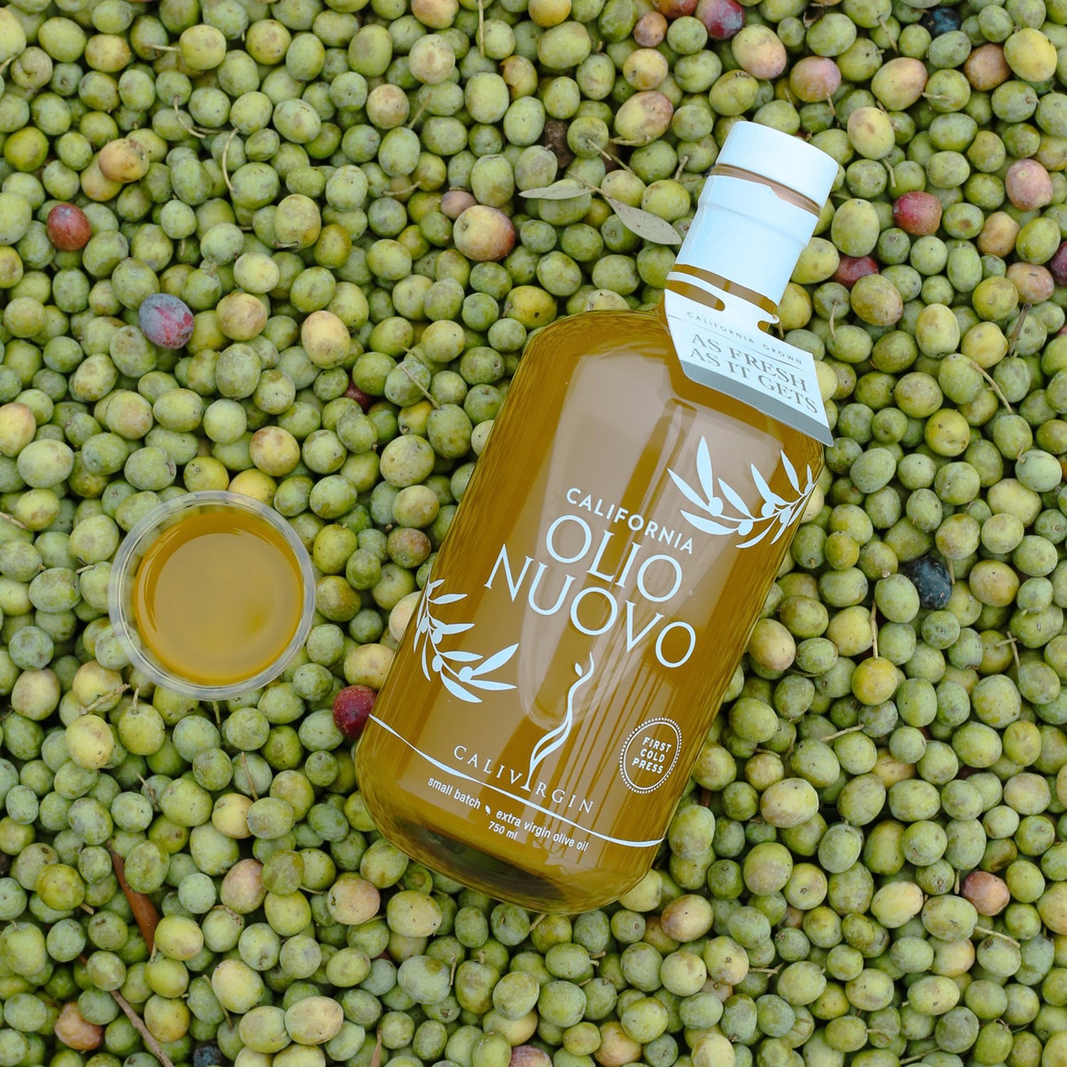 Calivirgin Olio Nuovo 750ml bottle and tasting cup over freshly harvested olives.