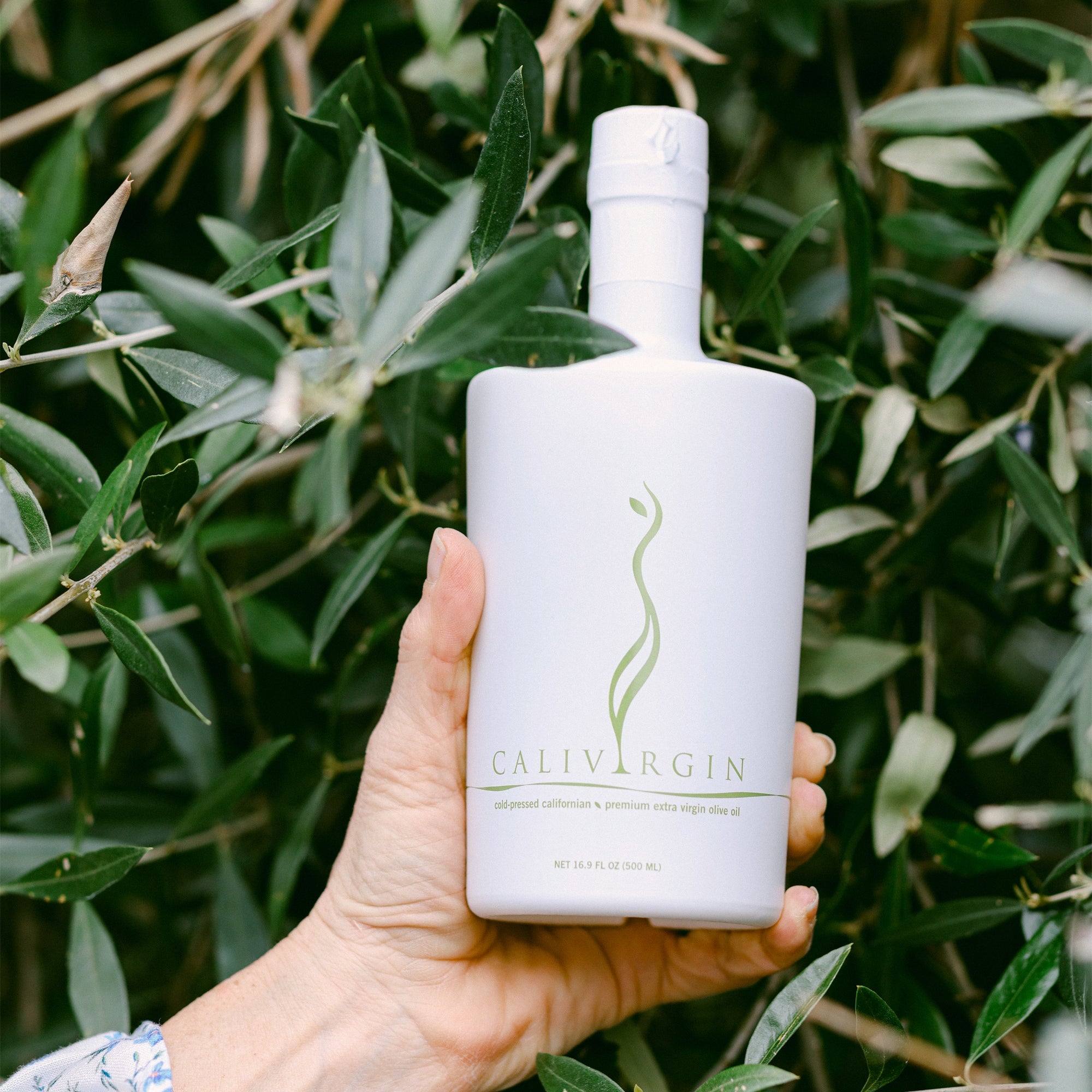 Holding a 500 ml Calivirgin Premium bottle among leafy olive branches.