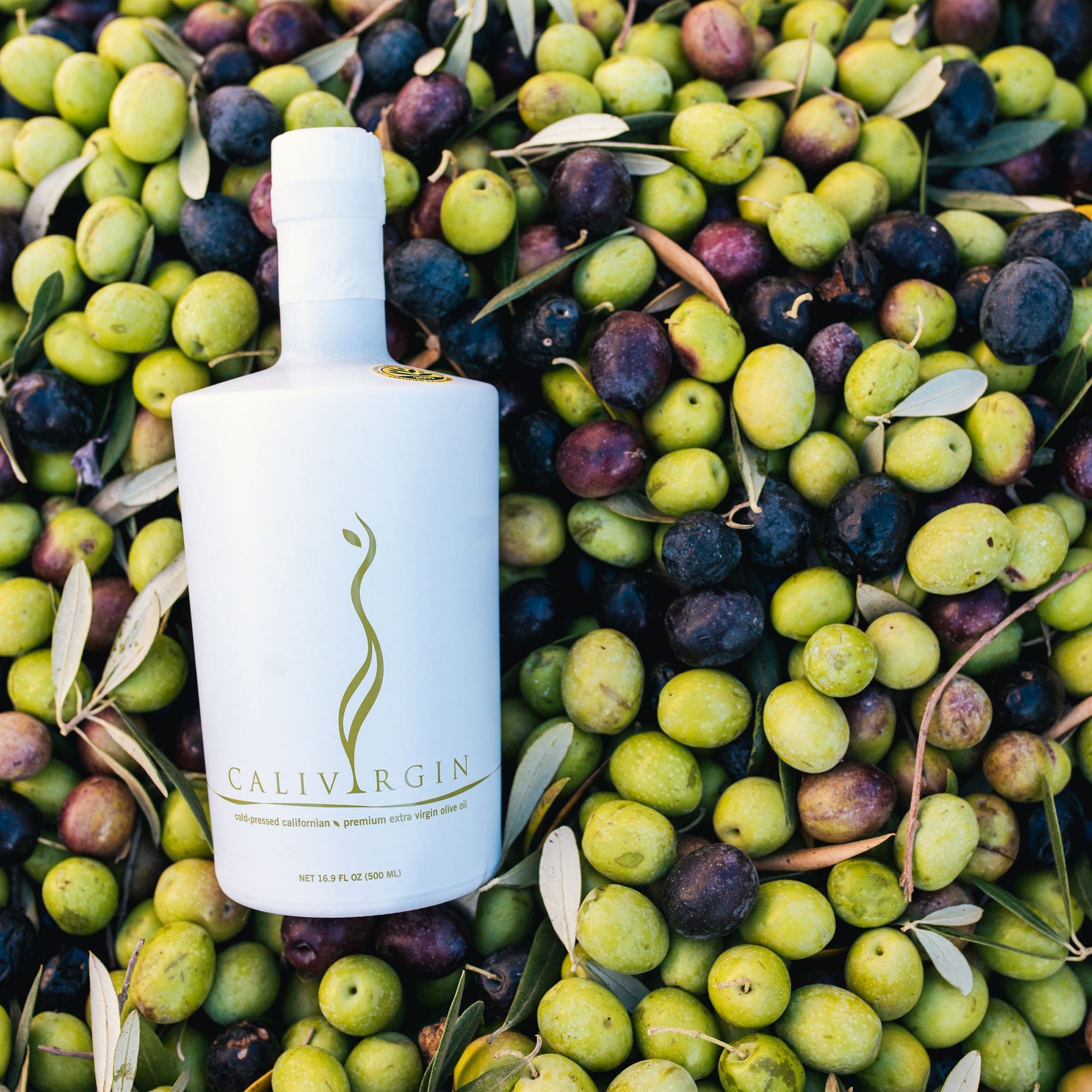 Calivirgin Premium 500 ml bottle among freshly harvested olives.