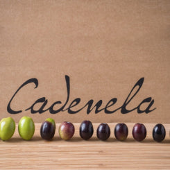 Cadenela producer logo.