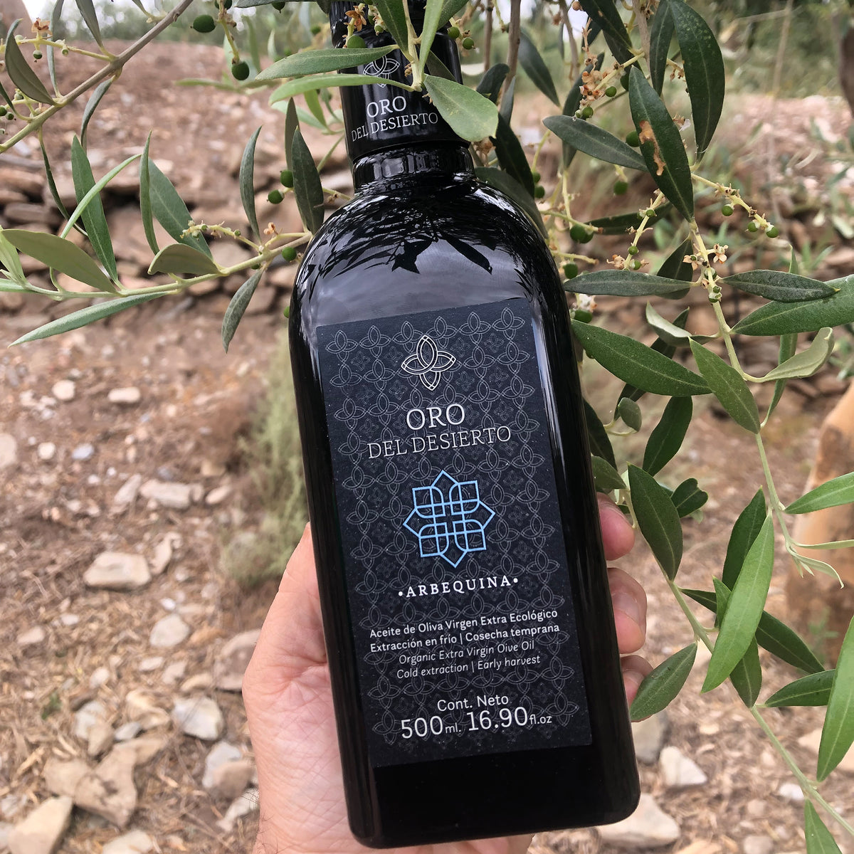 Holding a 500 ml Oro del Desierto Organic Arbequina bottle among olive tree branches.