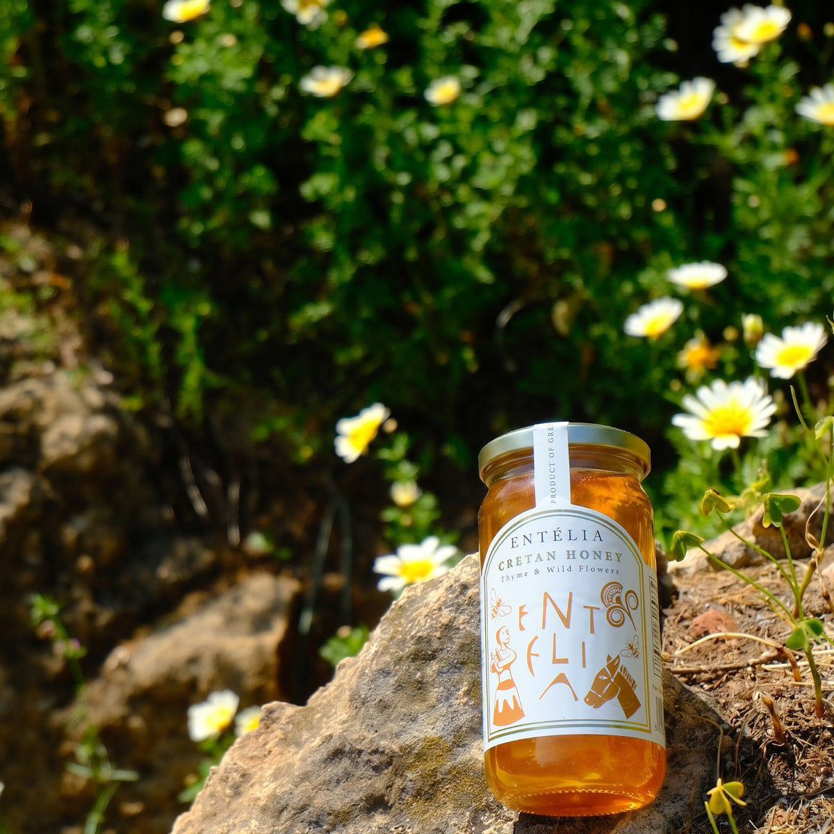 Entelia Thyme & Wild Flowers Cretan Honey 450g jar on a rock among wildflowers.
