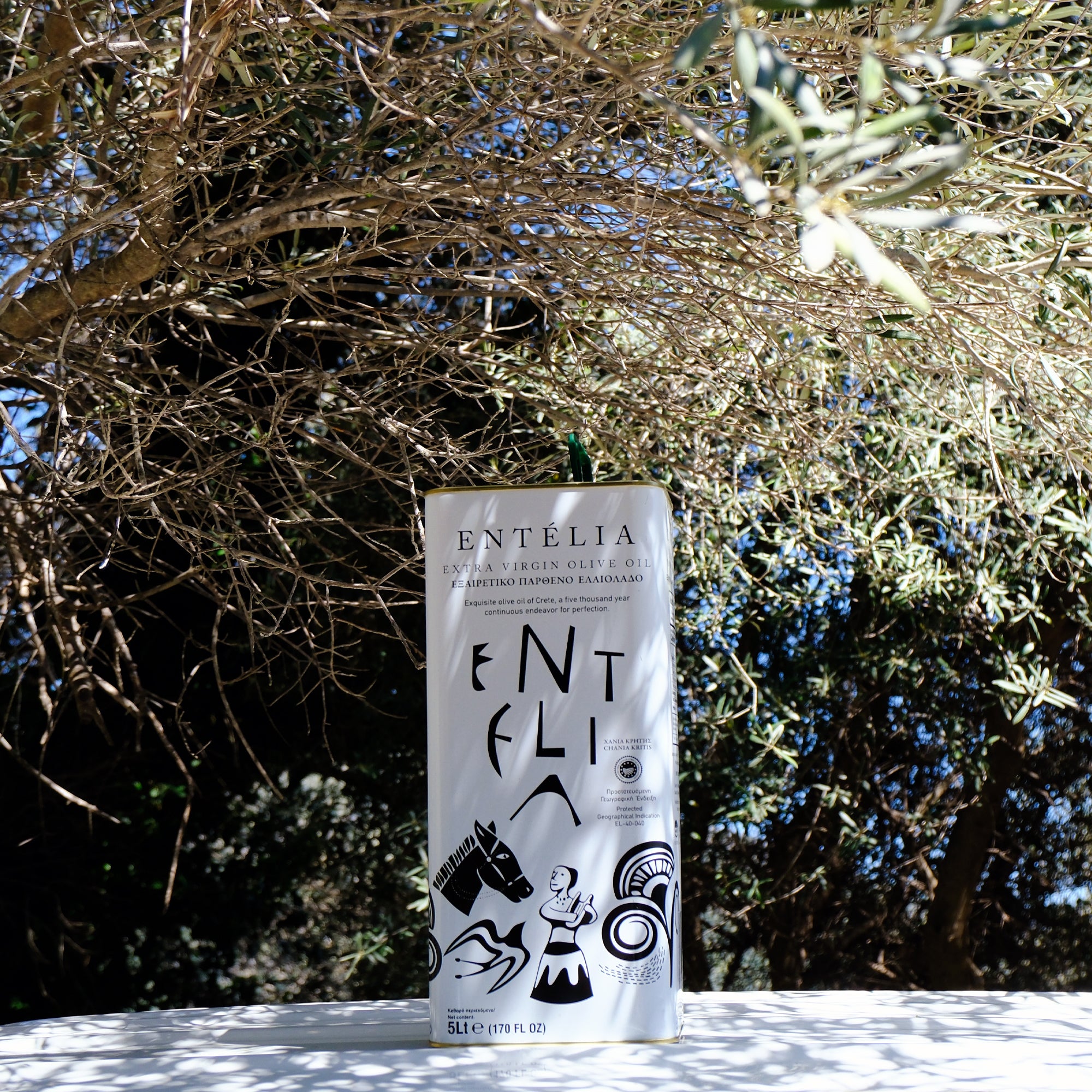 5L Tin of Entelia extra virgin olive oil under an olive tree.
