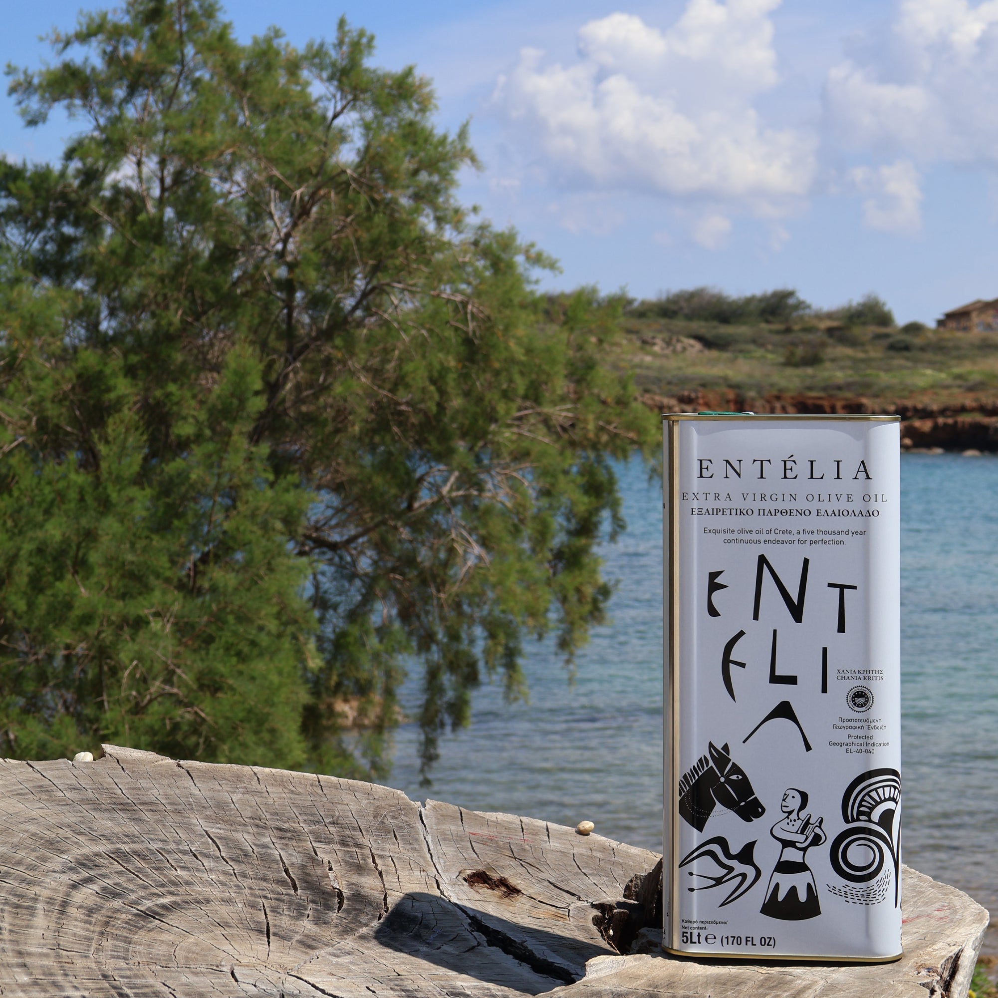 Entelia 5L extra virgin olive oil tin on a weathered wood beside the Cretan coast.