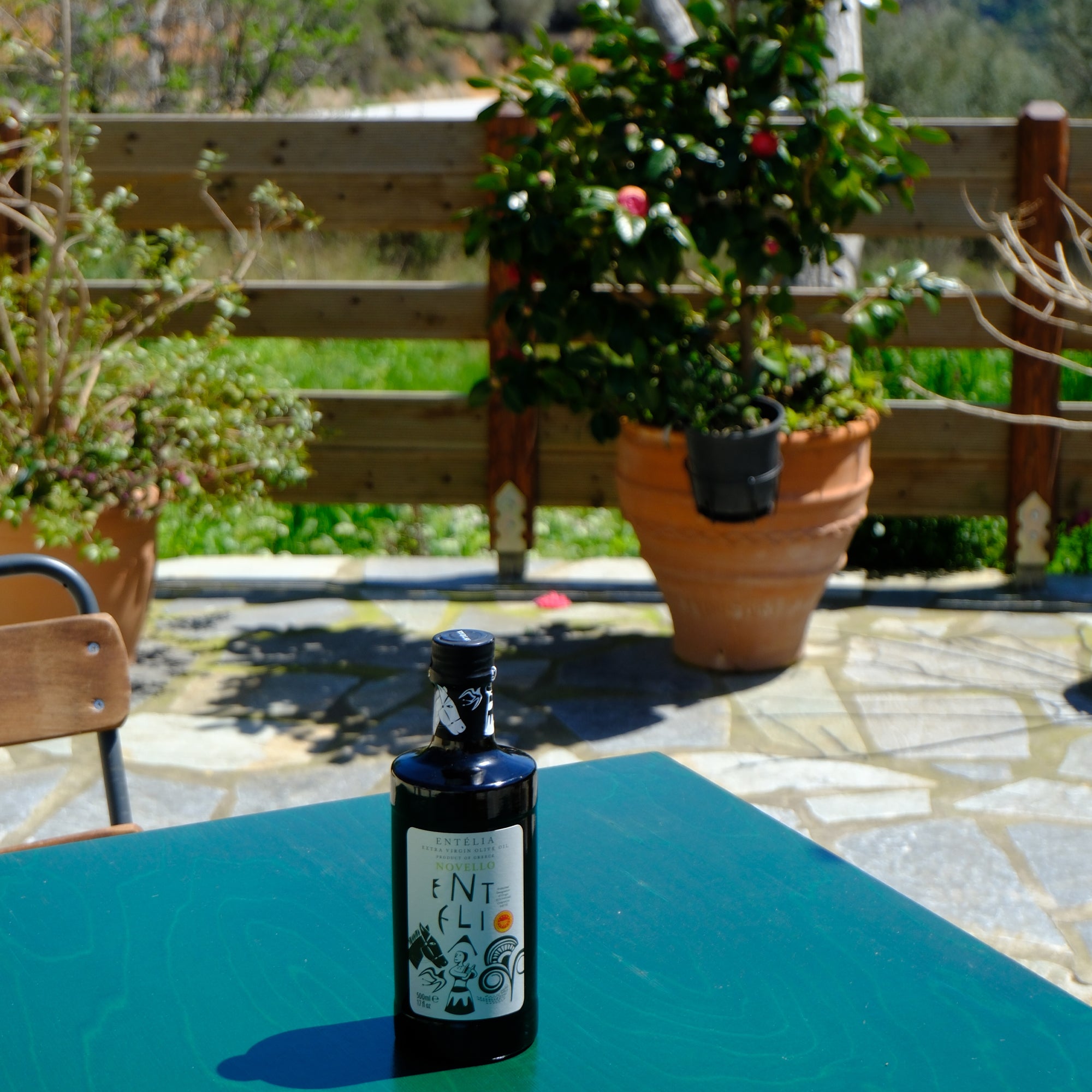 Entelia Novello 500ml olive oil bottle on a sunny garden table.