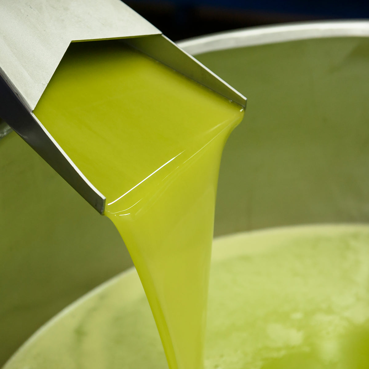 Fresh green olive oil flowing from a metal spout into a collection tank.