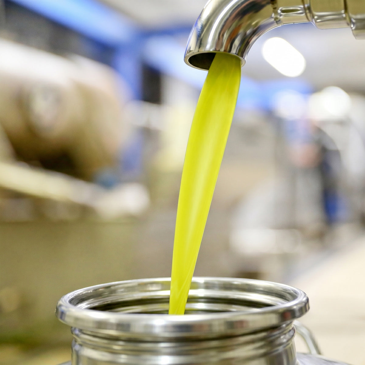 Vivid green olive oil flows from a stainless steel spout at Frantoio Pruneti's mill.