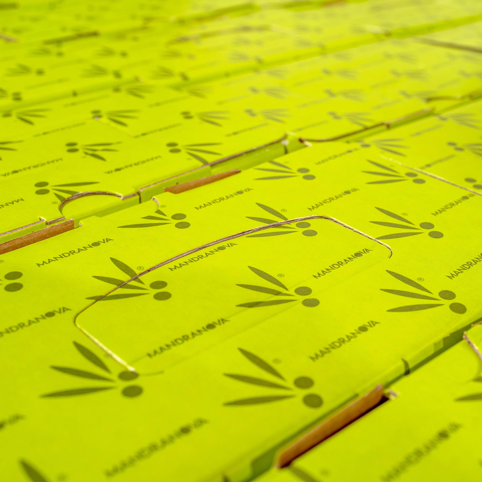 Close-up of stacked Mandranova bag-in-box packages.