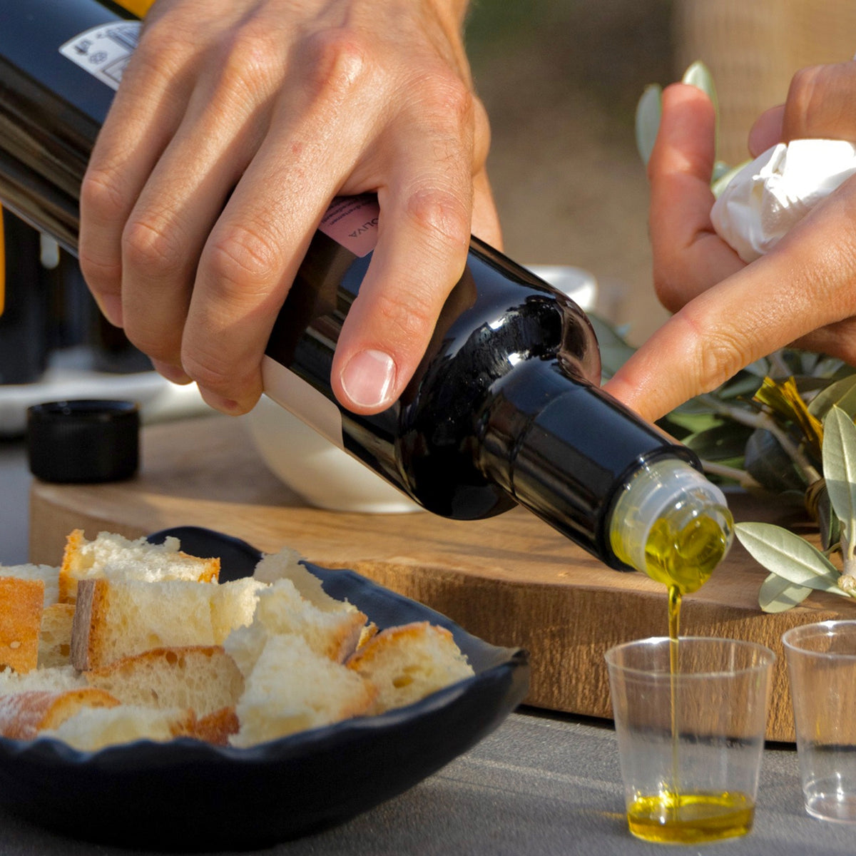 Mandranova Cerasuola olive oil poured into a tasting cup beside pieces of bread.