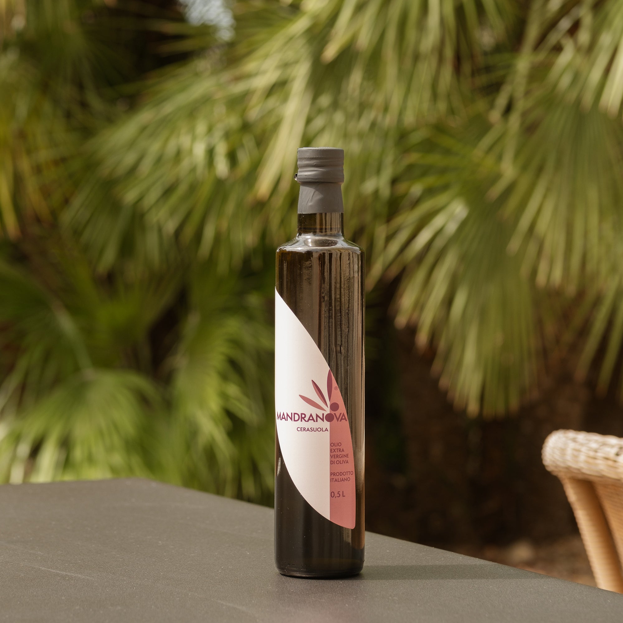 Mandranova Cerasuola bottle against lush green palm leaves.