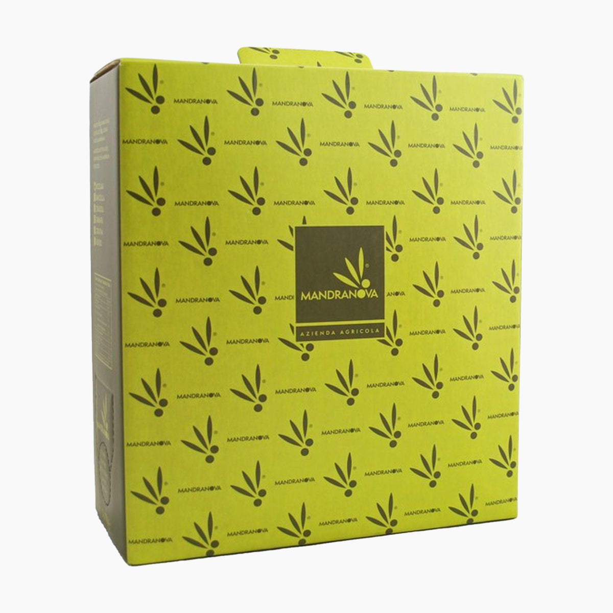 Angled view of a 5L bag-in-box of Mandranova Nocellara extra virgin olive oil.