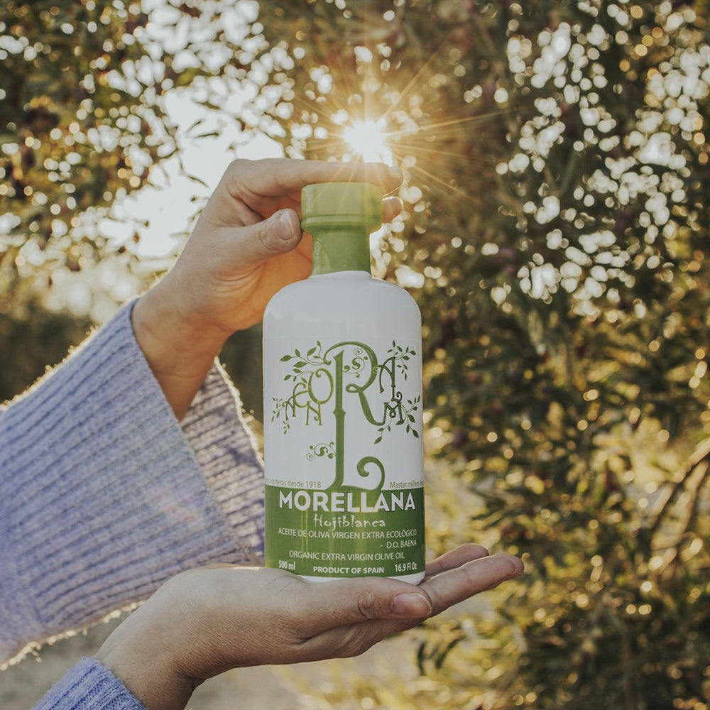 Holding a 500 ml Morellana Organic Hojiblanca DOP Baena olive oil bottle outdoors in warm sunlight.