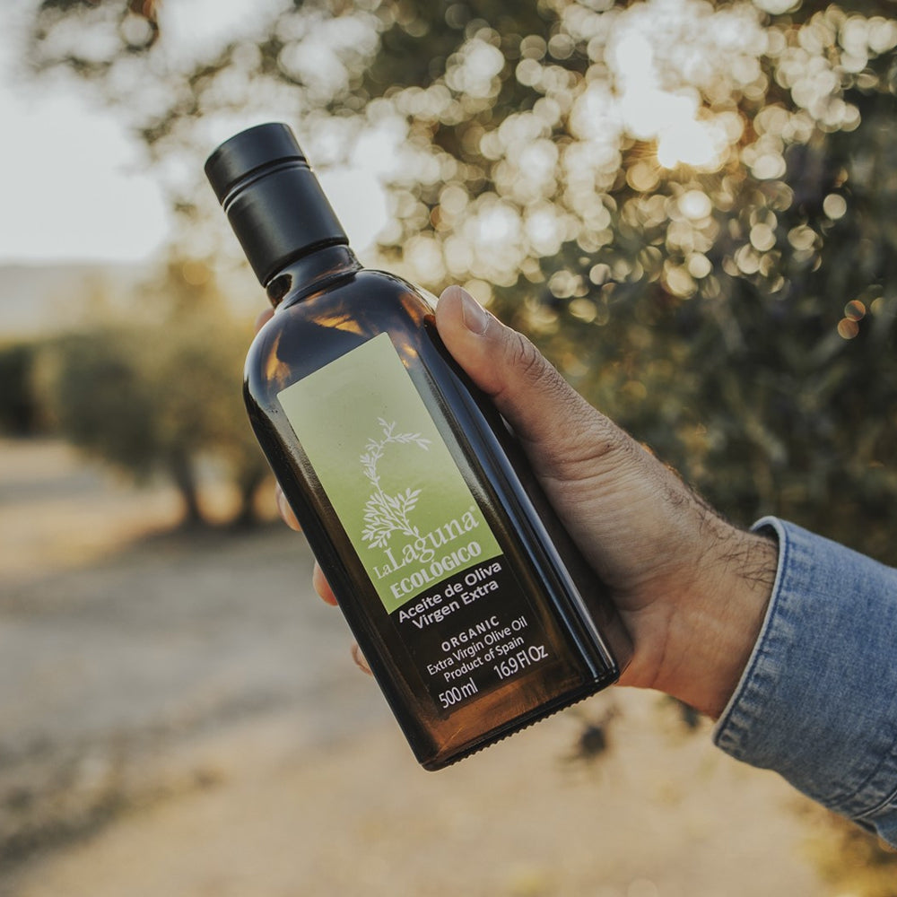 Holding a La Laguna Organic extra virgin olive oil bottle among olive trees.