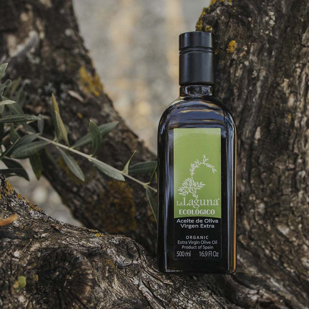 La Laguna Organic extra virgin olive oil bottle nestled between an olive tree’s branches.