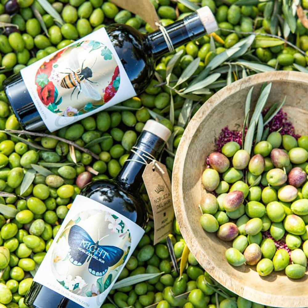 Nobleza Del Sur Organic Day and Night bottles among freshly harvested olives and olive branches.