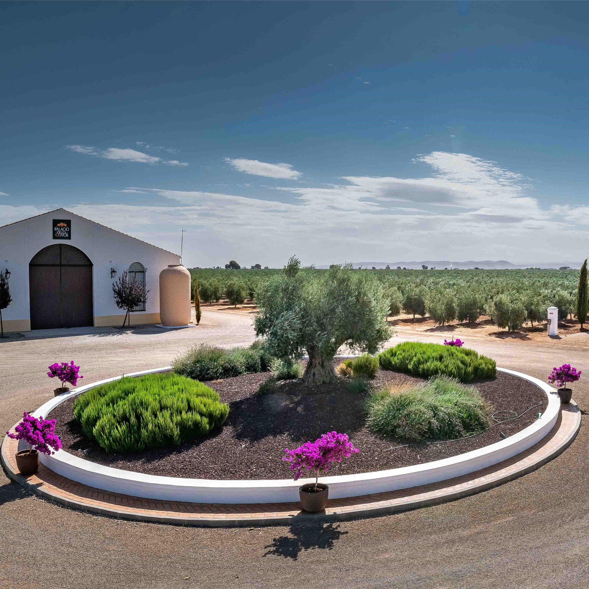 Palacio de los Olivos estate and olive groves in Castilla-La Mancha, Spain.