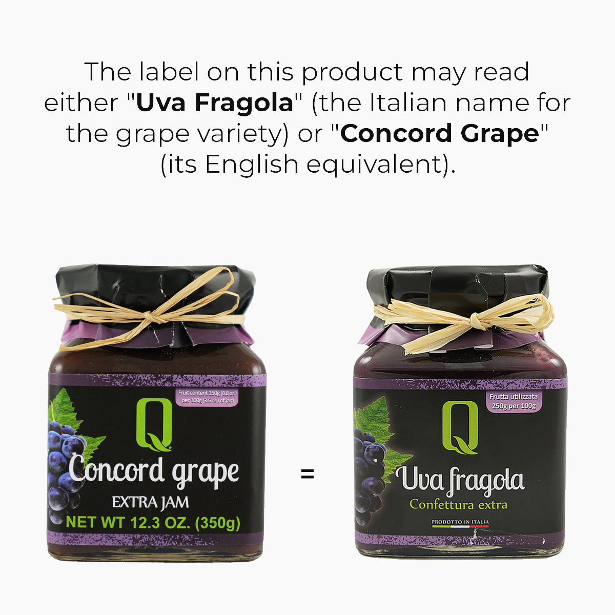 Infographic with Italian and English equivalent names of Quattrociocchi Concord Grape Jam.