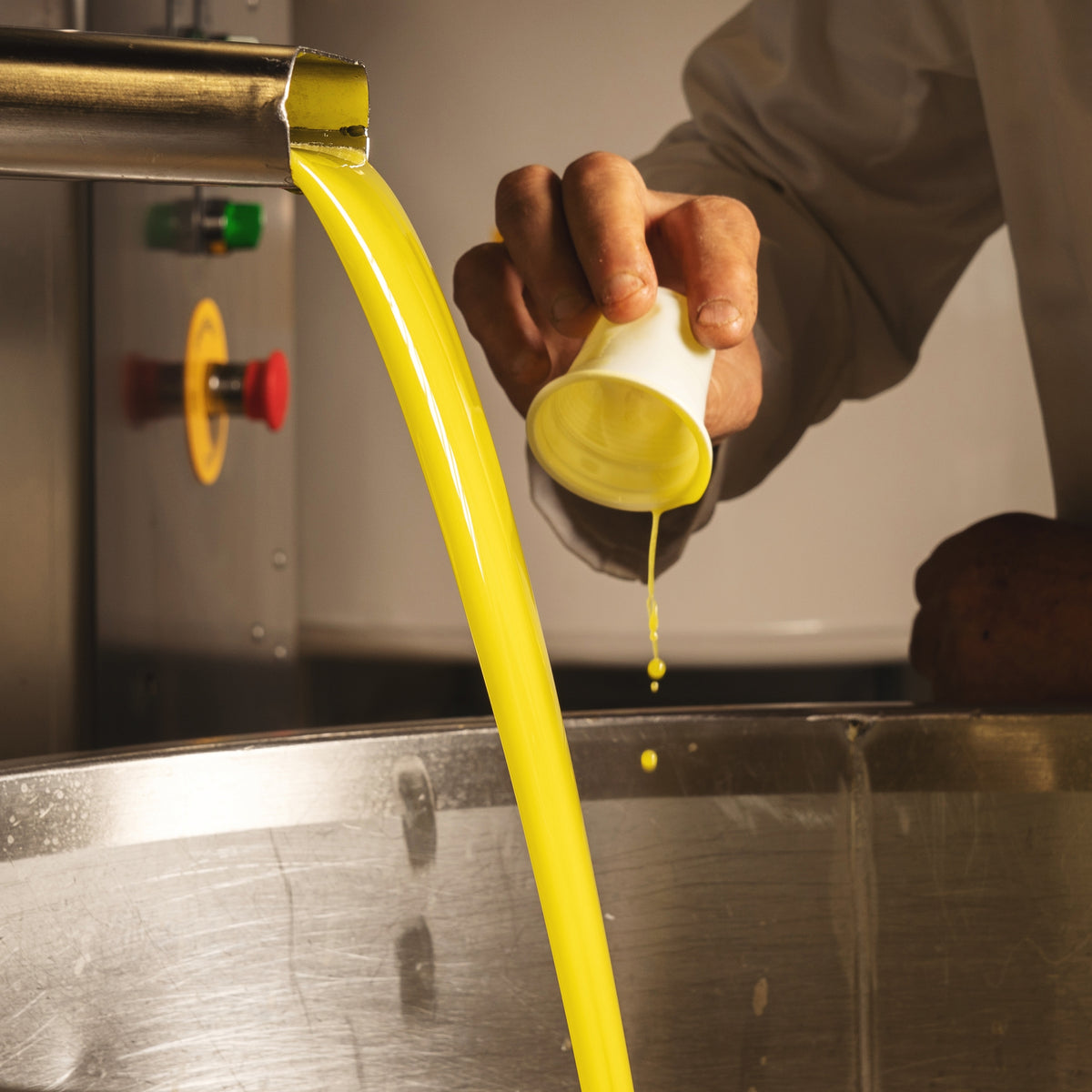 Fresh olive oil flows from extraction equipment as a man inspects a sample.