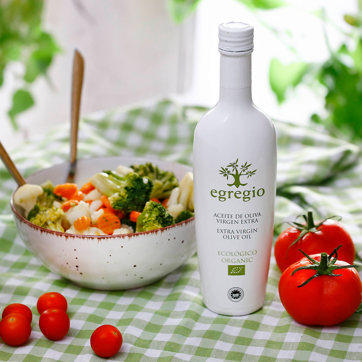 Mediterranean cuisine with Oleoestepa Egregio Organic extra virgin olive oil, alongside a fresh vegetable salad.