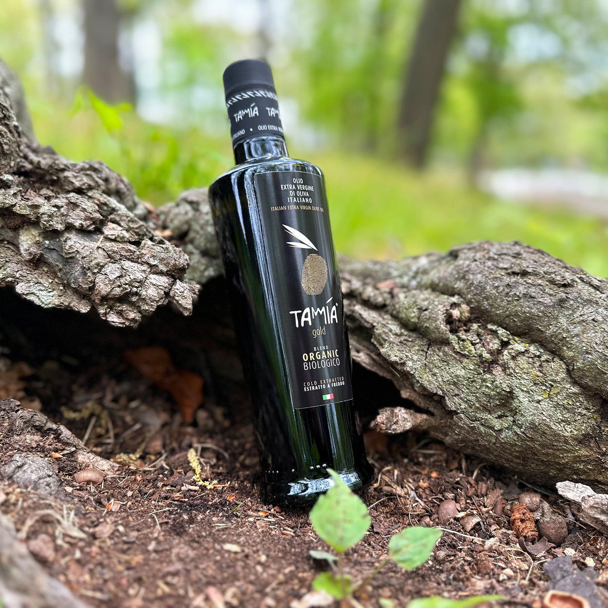 500 ml bottle of Tamia Gold Organic extra virgin olive oil among tree roots.
