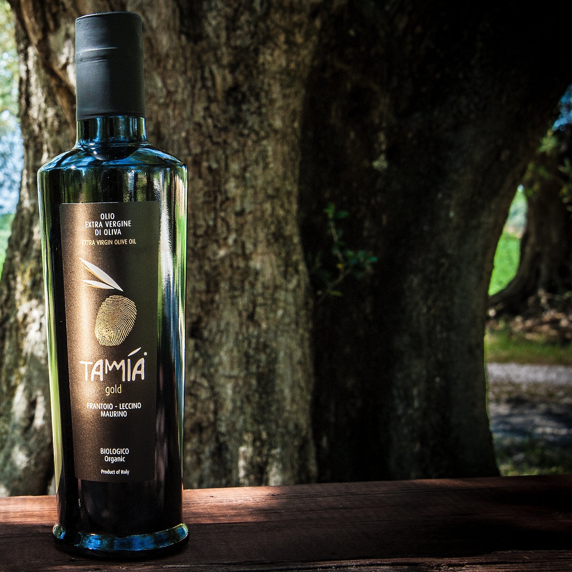 Tamia Gold Organic 500 ml extra virgin olive oil bottle beside an olive tree.